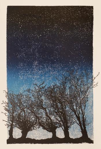 Five Trees at Night