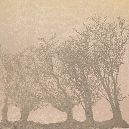 Five trees in Mist