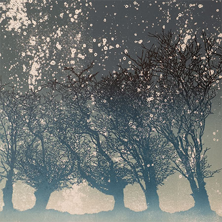 Five Trees in Snow