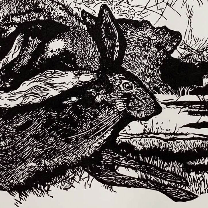 Widecombe Hare (black and white linoprint)