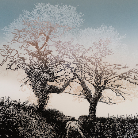 Two Trees, South Hams (brown sky)